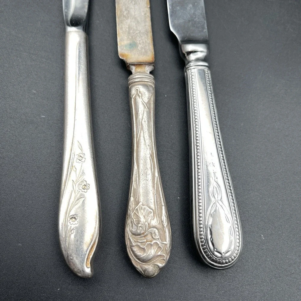 Lot 3 Vintage Hollow Handle Dinner Knives Flower De Luce Bateman Springtime